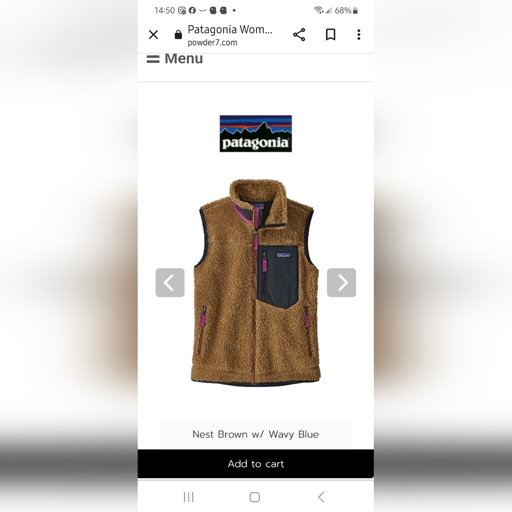 Patagonia Women's Retro X sherpa fleece vest